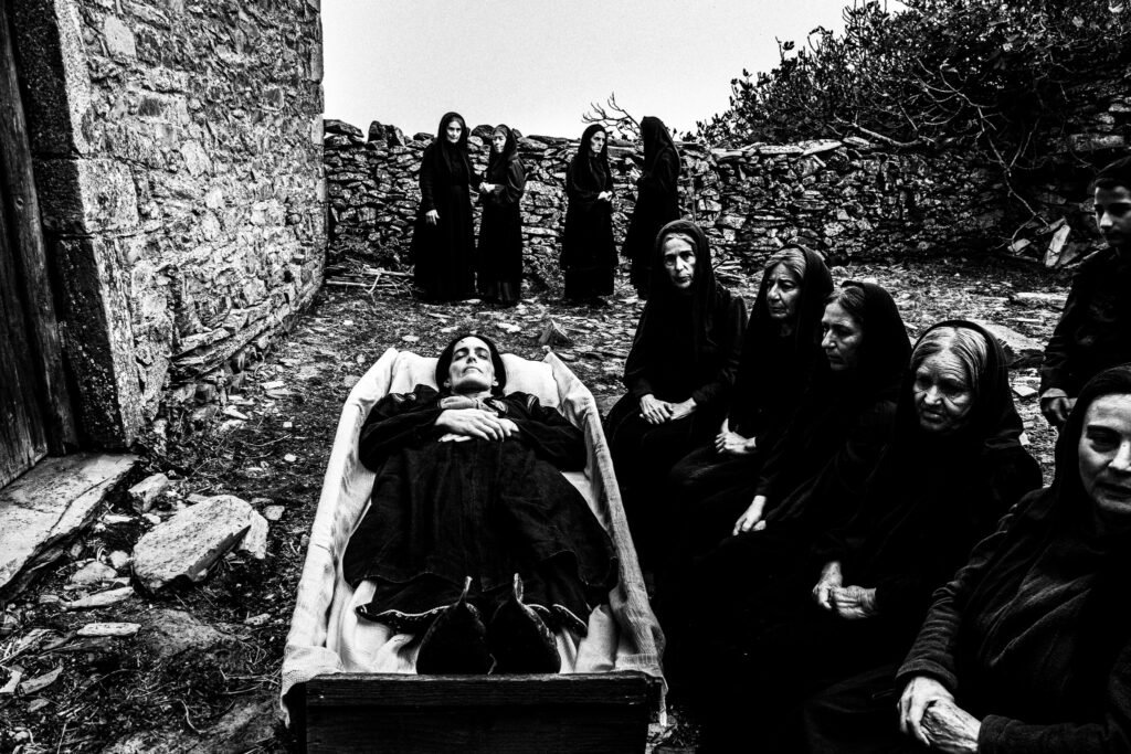 489405026 1240069351456795 7604660051539802765 n