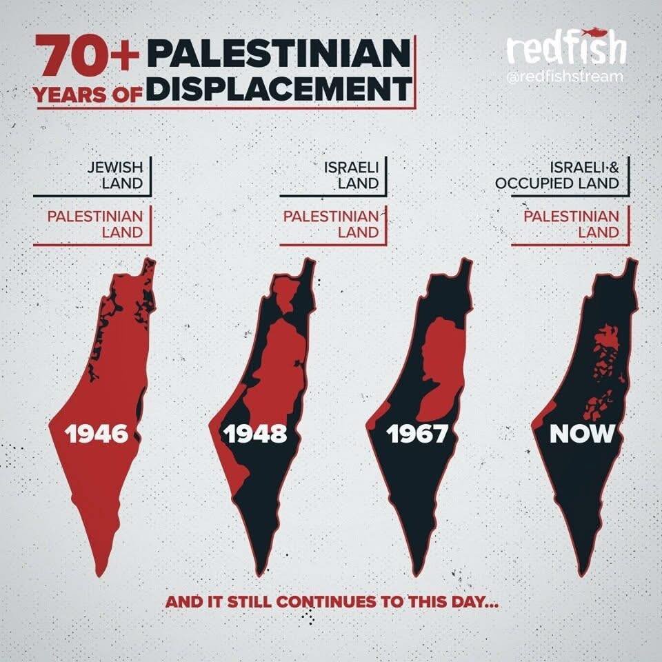 Γκαμπόρ Ματέ: Ροκ σταρ του τραύματος & ακομπλεξάριστα ανθρωπιστής σε μια εποχή αβέβαιη 536278268 31366044676319844 1131809252594616513 n