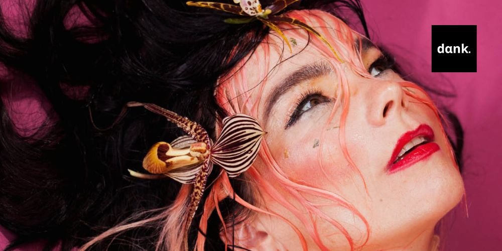 bjork banner