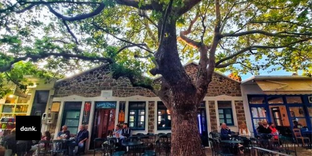 skg summer banner (3)