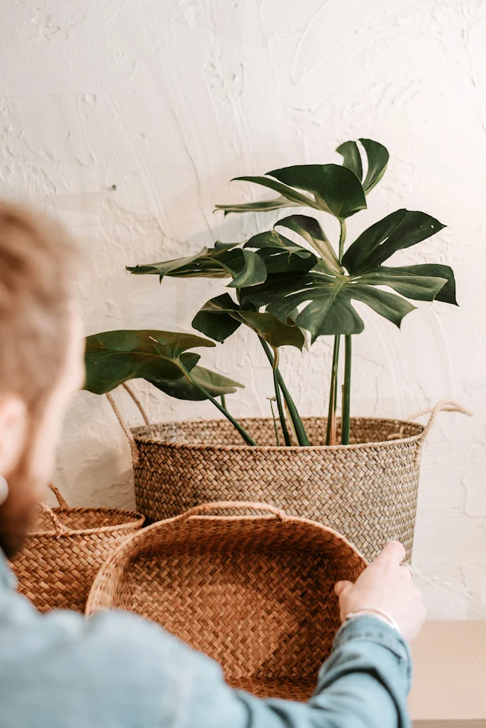 Βόλτα σε επτά υπέροχα μαγαζιά στη Θεσσαλονίκη με φυτά εσωτερικού χώρου 2022 09 06 (1)