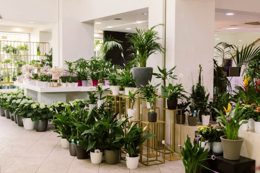 2023 03 18 2023 03 18