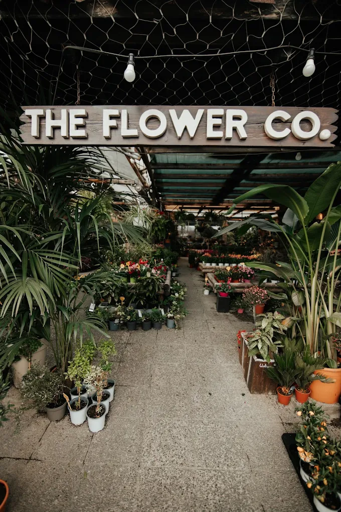 Βόλτα σε επτά υπέροχα μαγαζιά στη Θεσσαλονίκη με φυτά εσωτερικού χώρου 2024 11 11