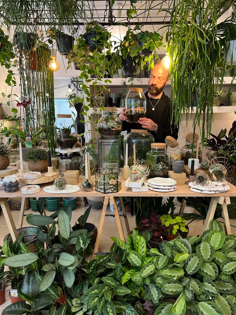 Βόλτα σε επτά υπέροχα μαγαζιά στη Θεσσαλονίκη με φυτά εσωτερικού χώρου 2025 07 26