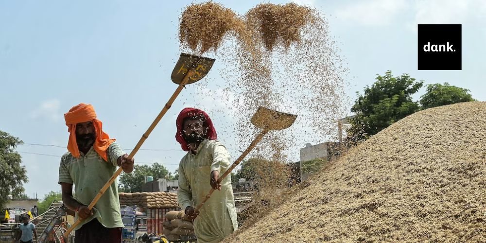 Ρύζι μπασμάτι: Ινδικής ή πακιστανικής προέλευσης; - Η απόφαση που καλείται να πάρει η Ευρωπαϊκή Επιτροπή basmati banner