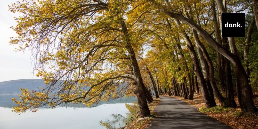 Καιρός: Βελτίωση και ψύχρα τα πρωινά - Η πρόγνωση του Κλέαρχου Μαρουσάκη kairos banner (6)