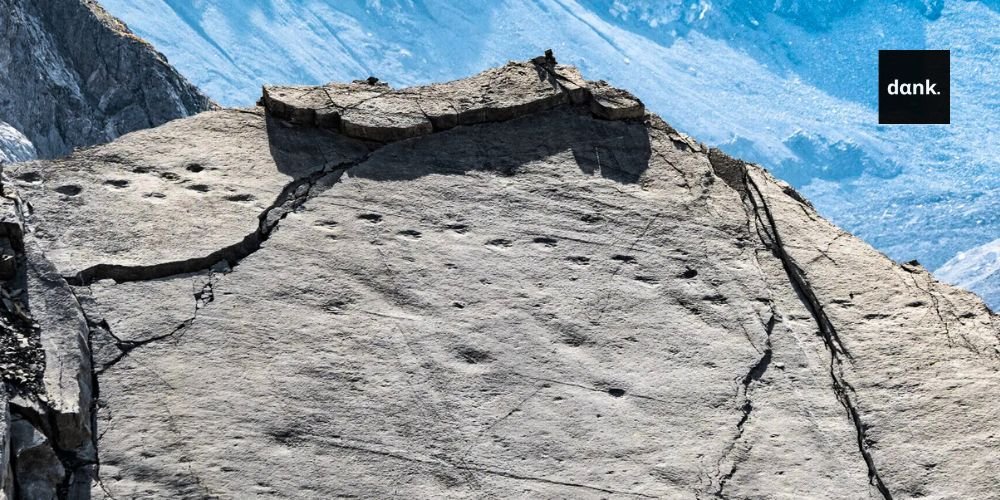 Ιταλία: Χιλιάδες αποτυπώματα δεινοσαύρων εντοπίστηκαν στις Άλπεις alps banner